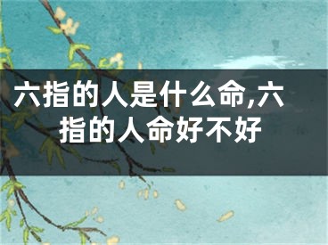 六指的人是什么命,六指的人命好不好