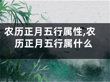 农历正月五行属性,农历正月五行属什么