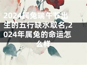 2024属兔端午节出生的五行缺水取名,2024年属兔的命运怎么样