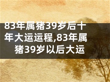 83年属猪39岁后十年大运运程,83年属猪39岁以后大运