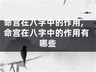 命宫在八字中的作用,命宫在八字中的作用有哪些