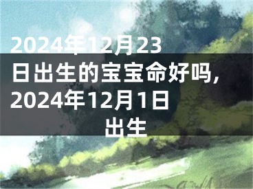 2024年12月23日出生的宝宝命好吗,2024年12月1日出生