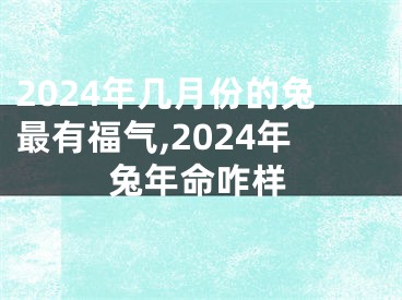 2024年几月份的兔最有福气,2024年兔年命咋样