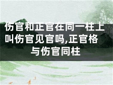 伤官和正官在同一柱上叫伤官见官吗,正官格与伤官同柱