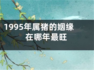 1995年属猪的姻缘在哪年最旺