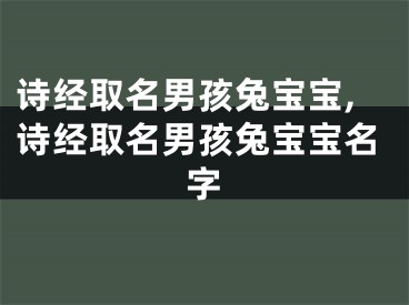 诗经取名男孩兔宝宝,诗经取名男孩兔宝宝名字