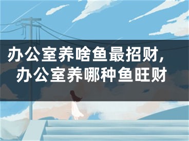 办公室养啥鱼最招财,办公室养哪种鱼旺财