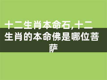 十二生肖本命石,十二生肖的本命佛是哪位菩萨