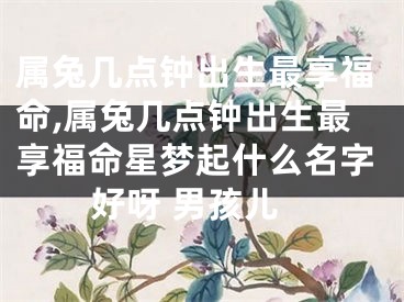 属兔几点钟出生最享福命,属兔几点钟出生最享福命星梦起什么名字好呀 男孩儿