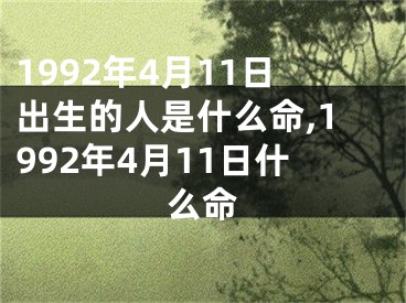 1992年4月11日出生的人是什么命,1992年4月11日什么命