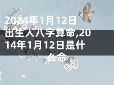 2024年1月12日出生人八字算命,2014年1月12日是什么命
