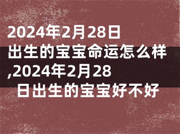 2024年2月28日出生的宝宝命运怎么样,2024年2月28日出生的宝宝好不好