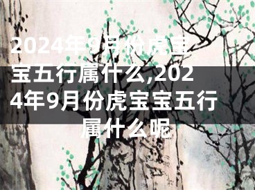 2024年9月份虎宝宝五行属什么,2024年9月份虎宝宝五行属什么呢