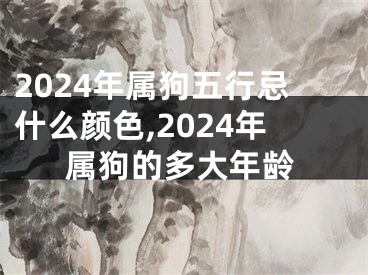 2024年属狗五行忌什么颜色,2024年属狗的多大年龄
