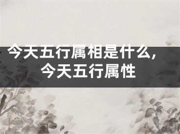 今天五行属相是什么,今天五行属性