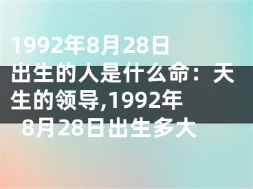 1992年8月28日出生的人是什么命：天生的领导,1992年8月28日出生多大
