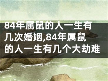 84年属鼠的人一生有几次婚姻,84年属鼠的人一生有几个大劫难