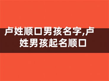 卢姓顺口男孩名字,卢姓男孩起名顺口