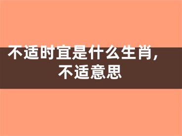 不适时宜是什么生肖,不适意思