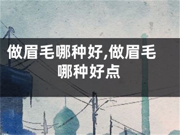 做眉毛哪种好,做眉毛哪种好点