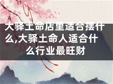 大驿土命店里适合摆什么,大驿土命人适合什么行业最旺财