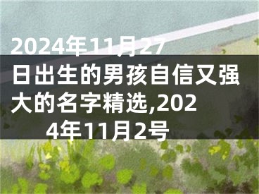 2024年11月27日出生的男孩自信又强大的名字精选,2024年11月2号