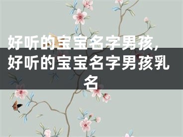好听的宝宝名字男孩,好听的宝宝名字男孩乳名