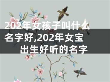 202年女孩子叫什么名字好,202年女宝出生好听的名字