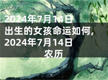 2024年7月14日出生的女孩命运如何,2024年7月14日农历