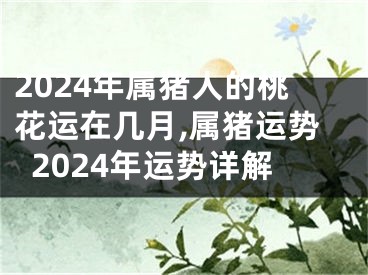 2024年属猪人的桃花运在几月,属猪运势2024年运势详解