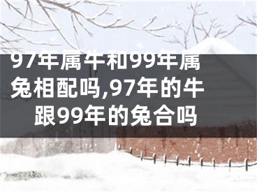 97年属牛和99年属兔相配吗,97年的牛跟99年的兔合吗