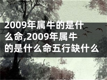 2009年属牛的是什么命,2009年属牛的是什么命五行缺什么