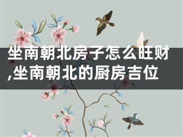 坐南朝北房子怎么旺财,坐南朝北的厨房吉位