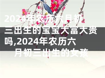 2024年农历六月初三出生的宝宝大富大贵吗,2024年农历六月初三出生的女孩