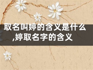 取名叫婷的含义是什么,婷取名字的含义