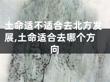 土命适不适合去北方发展,土命适合去哪个方向