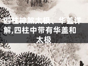 四柱神煞太极、华盖详解,四柱中带有华盖和太极