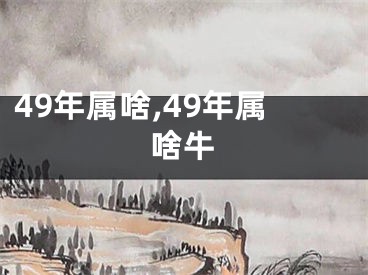 49年属啥,49年属啥牛