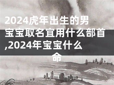 2024虎年出生的男宝宝取名宜用什么部首,2024年宝宝什么命
