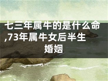 七三年属牛的是什么命,73年属牛女后半生婚姻