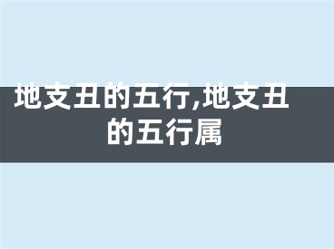 地支丑的五行,地支丑的五行属