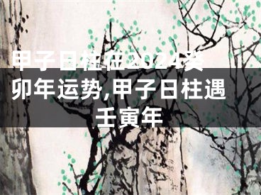 甲子日柱在2024癸卯年运势,甲子日柱遇壬寅年