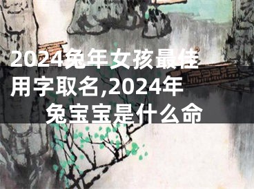 2024兔年女孩最佳用字取名,2024年兔宝宝是什么命