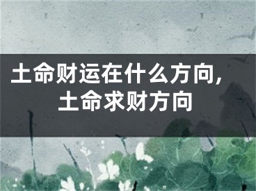 土命财运在什么方向,土命求财方向