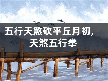 五行天煞砍平丘月初,天煞五行拳