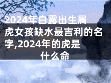 2024年白露出生属虎女孩缺水最吉利的名字,2024年的虎是什么命