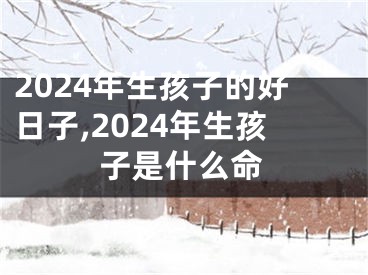 2024年生孩子的好日子,2024年生孩子是什么命