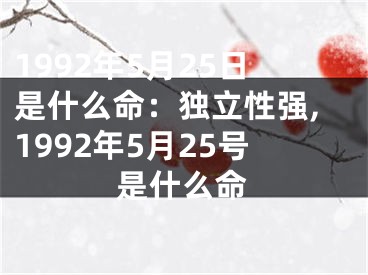 1992年5月25日是什么命：独立性强,1992年5月25号是什么命