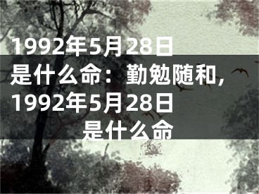 1992年5月28日是什么命：勤勉随和,1992年5月28日是什么命