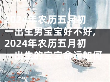 2024年农历五月初一出生男宝宝好不好,2024年农历五月初一出生的宝宝命运如何